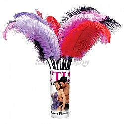 Fetish Fantasy Limited Edition Love Plumes 1ks